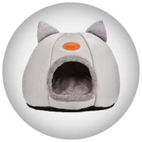 Gatto